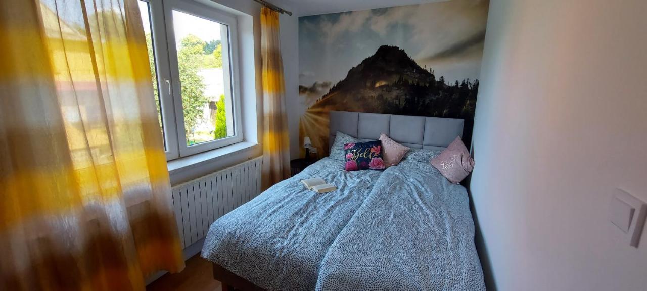 Apartamenty Montania Wisla Bagian luar foto
